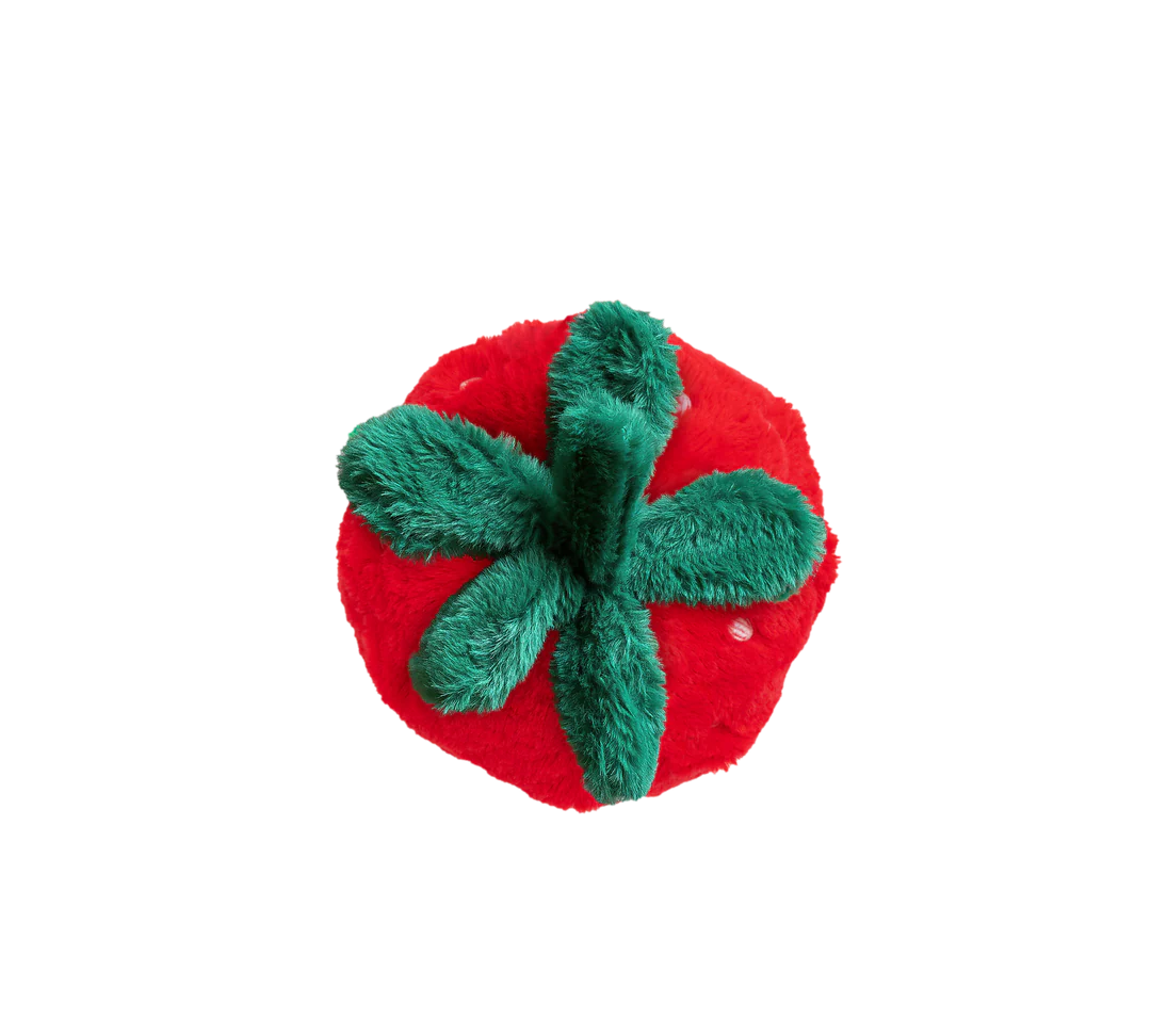 Strawberry Cushion - Soft Plush Pillow